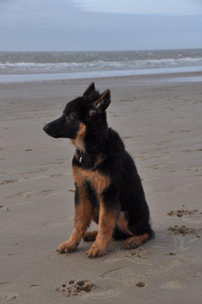 Fotos/2010vervolgTaylor/Cliff/DSC_0091[1].jpg